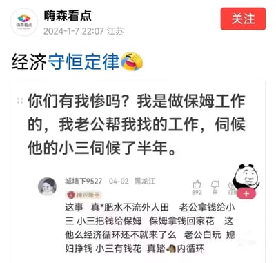 一张社交媒体截图，标题为“经济守恒定律🤣🤣”，内容是一个保姆的吐槽：“你们有我惨吗？我是做保姆工作的，我老公帮我找的工作，伺候他的小三伺候了半年。” 下方有一条神评：“这事 真*肥水不流外人田 老公拿钱给小三 小三把钱给保姆 保姆拿钱回家花 这他么经济循环还不就来了么 老公白玩 媳妇挣钱 小三有钱花 真踏🐶内循环”，配图是一个熊猫头表情包。
