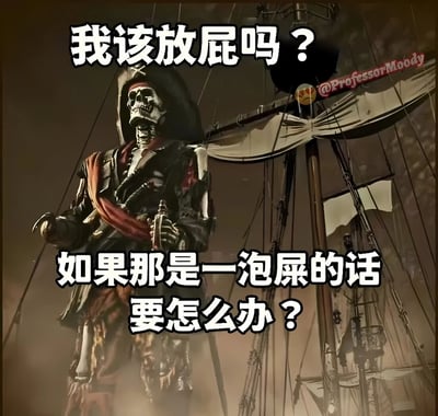 图片中是一位身着海盗服饰的骷髅形象，站立在海盗船的甲板上，背景可见船帆和桅杆。骷髅表情严肃，手持物品，整体画面带有复古和神秘的氛围。然而图片上方和下方分别配有搞笑文字：“我该放屁吗？”和“如果那是一泡屎的话要怎么办？”，通过严肃的海盗骷髅形象与荒诞的日常生理困惑问题形成强烈反差，营造出幽默搞笑的效果。