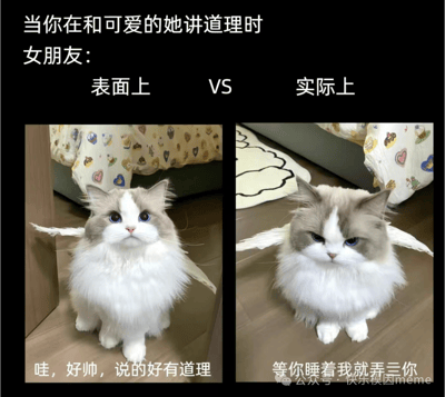 这是一张左右对比结构的恋爱主题梗图，上方标题为‘当你在和可爱的她讲道理时 女朋友：表面上 VS 实际上’。左侧画面中，一只带有白色翅膀的灰白相间猫咪仰头注视，眼神纯真，下方配文‘哇，好帅，说的好有道理’，模拟女朋友表面顺从的样子；右侧同一只猫咪表情转变为严肃锐利，眼神略带不满，配文‘等你睡着我就弄三你’，展现其内心真实想法。通过猫咪前后表情与文字的强烈反差，幽默调侃了情侣间讲道理时常见的‘口是心非’现象，整体风格轻松诙谐。