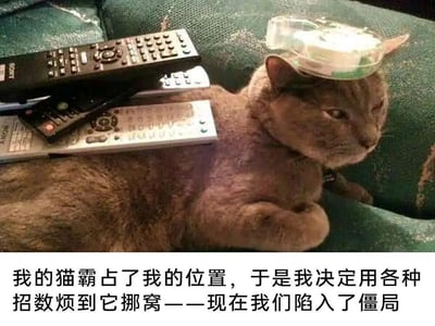 一只棕色的猫霸占了主人的沙发位置，主人为了让它挪窝，在它背上放了多个电视遥控器，头上还扣了一个透明塑料盒。然而猫咪依然淡定地趴在沙发上，丝毫没有要离开的意思。图片下方配有文字：'我的猫霸占了我的位置，于是我决定用各种招数烦到它挪窝——现在我们陷入了僵局'，幽默地展现了人与宠物之间的有趣互动和'权力斗争'。