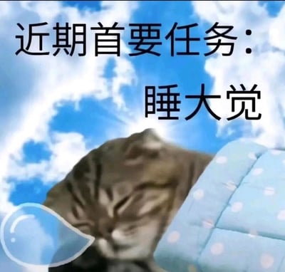 这是一张诙谐治愈的图文混排静态表情包，画面主体是一只盖着带白点的浅蓝色被子、闭着眼睛熟睡的猫咪，猫咪上方搭配了蓝天白云的背景，左下角还有一个卡通风格的泪滴图案。图片上方配有醒目的黑色文字“近期首要任务：睡大觉”，用幽默夸张的方式表达出当下只想抛开忙碌、好好睡觉休息的心情，很适合在社交聊天中抒发疲惫后渴望放松、不想被打扰的情绪。