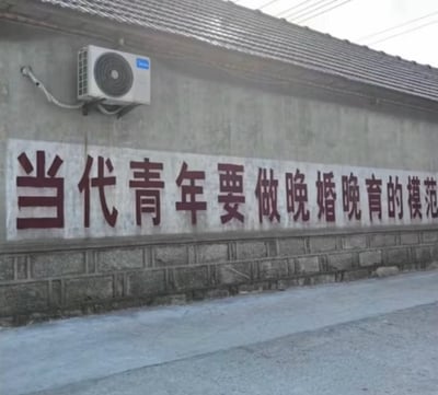 这是一张户外原始拍摄的静态单图，画面展示了一面水泥石墙，墙的左上侧安装着一台白色的美的空调外机，墙面中部刷有白底红漆的宣传标语，内容为“当代青年要做晚婚晚育的模范”，这是我国过去计划生育时期的典型宣传口号，带有鲜明的时代印记。墙面下方是规整的石块墙基，墙前是平整的水泥路面，整体场景看起来像是乡村或者老旧居民区的户外环境，给人一种怀旧的氛围。