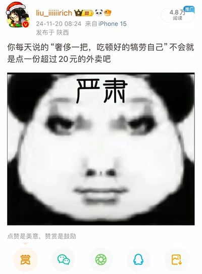 这是微博用户“liu_iiiiirich”于2024年11月20日08:24发布的一条吐槽内容，发布设备为iPhone 15，发布地点为陕西，该内容获得4.8万阅读量。文案以自嘲的口吻调侃当代年轻人口中“奢侈一把、吃顿好的犒劳自己”的实际标准，仅仅是点一份超过20元的外卖，搭配了一张印有“严肃”字样的熊猫头表情包，用夸张的严肃神态强化了这种无奈又真实的吐槽，精准戳中了众多普通打工人的日常消费处境，容易引发群体共鸣。