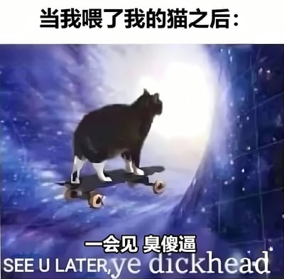 图片上方配有文字“当我喂了我的猫之后：”，下方是一只黑白相间的猫（黑色身体、白色爪子）站在滑板上，背景为充满星光的宇宙场景，前方有明亮光源，营造出猫咪即将酷炫离开的氛围。底部文字为“一会见 臭傻逼”及其中英文混杂翻译“SEE U LATER, ye dickhead”。整体通过猫咪被喂食后“翻脸不认人”的霸气离开场景，结合日常宠物行为与夸张的宇宙背景形成反差萌，粗俗又戏谑的告别语增强了搞笑效果。