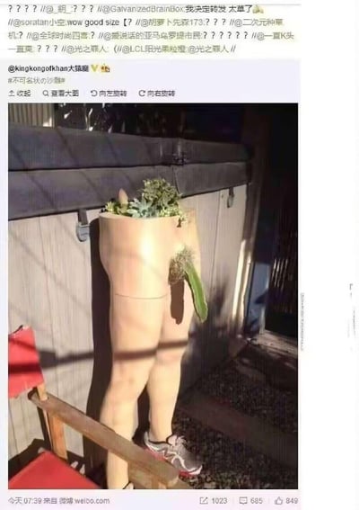 图片展示了一个造型奇特的花盆，其设计模仿了人类腿部形态，下半部分甚至穿着一双运动鞋。花盆顶部种植着绿色植物，放置在室外环境中，旁边有一把红色椅子。这种拟人化的创意设计因其独特造型引发网友爆笑，被形容为"不可名状の沙雕"。