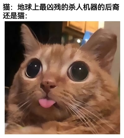 这张梗图展示了一只表情夸张的橘猫，有着超大的眼睛和伸出的舌头，看起来非常可爱和滑稽。图片上方配有文字：'猫：地球上最凶残的杀人机器的后裔 还是猫：'，通过强烈的反差制造幽默效果，调侃猫咪既是凶猛的猎手后裔，又常常表现出可爱呆萌的一面。
