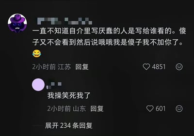 这是一张深色模式下的国内社交平台评论区截图，画面中两条用户评论被截取展示，第一条评论发布者头像是戴紫色礼帽的紫色卡通形象，用户昵称已被打码，内容吐槽疑惑在个人简介里标注“厌蠢”的用户是写给谁看的，点明傻子并不会主动意识到自己愚笨而选择不添加对方，末尾附带笑哭表情，该评论IP属地为江苏，发布于2小时前，获得4851个点赞；第二条是其他用户的回复，昵称同样被打码，IP属地为山东，内容为“我操笑死我了”，发布于2小时前，获得601个点赞，底部还显示可展开234条更多回复。