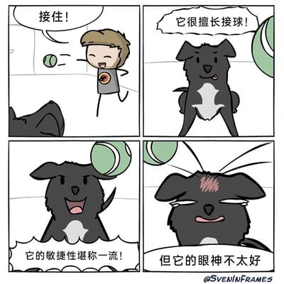 这是一幅四格连环卡通漫画，以宠物狗狗接球为主题制造反差笑点。第一格中，一名男子面带笑容扔出网球，大声喊“接住！”；第二格介绍这只胸口带白毛的黑狗狗很擅长接球，狗狗坐直身体，看起来十分期待；第三格配文夸赞狗狗敏捷性一流，此时网球已经重重砸在狗狗的脑袋上，狗狗却还开心地张开嘴，没有意识到被砸；第四格迎来反转，狗狗头顶被砸得泛红，眼睛眯起，表情委屈，配文“但它的眼神不太好”，通过前期的夸赞和最后被砸头的反差，展现了狗狗的呆萌有趣，充满搞笑效果。