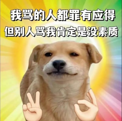 这是一张经过P图改编的搞笑表情包，背景为放射状的彩虹色渐变光芒，主体是一只嘴角上扬、表情带着得意与欠揍感的柴犬形象，还被添加了两只人类的手，分别比出V字和OK的手势。图片上方配有两行文字“我骂的人都罪有应得，但别人骂我肯定是没素质”，精准调侃了生活中常见的自我中心的双标心态，用幽默的方式放大了这种行为的荒谬感，适合在社交聊天场景中用来吐槽他人双标，或是自嘲自己的双标时刻，能快速引发共鸣，制造笑点。