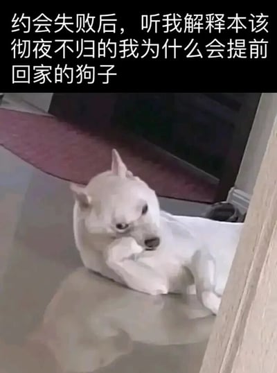 图片中是一只白色的狗子趴在地板上，抬头露出略带愧疚的表情，仿佛在向主人解释。上方配有文字：“约会失败后，听我解释本该彻夜不归的我为什么会提前回家的狗子”，通过拟人化手法，将狗子比作约会失败后提前回家、需要解释的人，营造出幽默搞笑的效果。