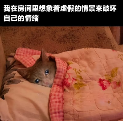 图片上方为黑色背景白色文字：'我在房间里想象着虚假的情景来破坏自己的情绪'，下方是一只浅棕色猫咪裹在粉色花纹被子里的真实照片，猫咪仅露出头部，一双蓝色大眼睛向上看，表情无辜又呆萌。文字将猫咪拟人化，幽默地表现了人类过度思考、用想象中的负面情景影响自身情绪的常见心理状态，画面可爱又引人共鸣。