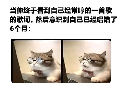 图片上方配有文字“当你终于看到自己经常哼的一首歌的歌词，然后意识到自己已经唱错了6个月：”，下方是两张并排的戴眼镜猫咪图片。左侧猫咪表情平静，眯着眼睛趴在电脑上；右侧猫咪嘴巴微张，眼神中透露出明显的震惊，通过前后表情对比，生动展现了人们突然发现自己长期唱错歌词时从平静到震惊的心理变化，充满生活气息和幽默感。