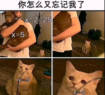 这是一张四格连环梗图，改编自'抱狗忽略猫'的经典表情包格式。图中人物抱着代表二次方程x²=25正根x=5的狗，却无视了代表负根x=-5的猫，猫的视角配上文字'你怎么又忘记我了'，幽默地吐槽了人们解二次方程时常忽略负根的常见误区，兼具教育意义与网络趣味性。