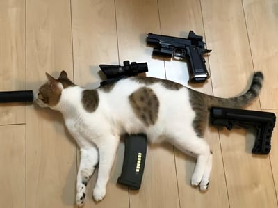 一只棕白相间的猫咪平静地躺在木地板上，周围被各种玩具枪零件创意性地环绕摆放。猫咪头部附近有一个枪管，背部上方放置了一个瞄准镜，身体下方有一个弹匣，尾巴附近则有一个手枪握把，而一只完整的玩具手枪则放在猫咪背部上方。整个画面呈现出一种幽默的创意摆拍效果，将可爱的猫咪与玩具武器元素结合在一起。