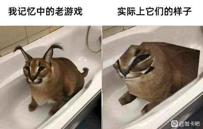这是一张左右对比的P图改编梗图，左侧展示了一只形态正常的狞猫待在浴缸中，上方配文“我记忆中的老游戏”，代表玩家回忆里老游戏的美好形象；右侧是被修改成方块形状的狞猫，身体僵硬怪异，上方配文“实际上它们的样子”，以此调侃老游戏受限于当年的技术水平，建模粗糙、形象生硬，和玩家记忆中的精致印象形成强烈反差，引发有过老游戏体验的用户共鸣。