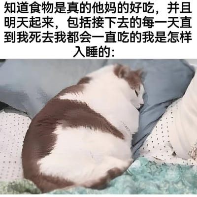 图片上方是一段文字：'知道食物是真的他妈的好吃，并且明天起来，包括接下去的每一天直到我死去我都会一直吃的我是怎样入睡的：'，下方是一只棕白相间的猫蜷缩在蓝色枕头上，身体圆润，睡得十分安稳的画面。文字用夸张的语气表达了对食物的热爱以及因此产生的满足感，与下方猫咪熟睡的状态形成幽默呼应，展现出因对美食的期待而安心入睡的场景。