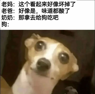 这是一张搞笑网络梗图，整体分为上下两个部分，上半部分是家庭对话文字：老妈认为食物看起来已经坏掉了，老爸附和说食物味道都变酸了，奶奶提议把这块变坏的食物拿去给狗吃，最后留下标注“狗：”；下半部分是一只浅黄白相间的小狗，小狗瞪着大大的眼睛对着镜头，露出震惊错愕、一脸茫然的表情，刚好对应上文“狗”的反应，用狗狗的震惊表情制造出搞笑反差效果，调侃生活中家人把坏东西塞给宠物的常见操作。
