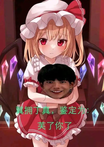 这是一张二次创作的谐音梗表情包，主体是《东方Project》中的角色芙兰朵露·斯卡蕾特，她保留了金发红瞳、红白洋装、背后水晶与蝙蝠翅膀的经典形象，原本抱着的玩偶被替换成了真人丁真的脸。图下方配有绿色文字：“翼拥丁真，鉴定为：芙了你了”，其中运用了多重谐音双关：“翼拥”既对应芙兰朵露的翅膀，又谐音“义拥”；“芙了你了”是“服了你了”的谐音，同时贴合角色名字中的“芙”字，将ACG元素与网络热点结合，制造出荒诞搞笑的喜剧效果。