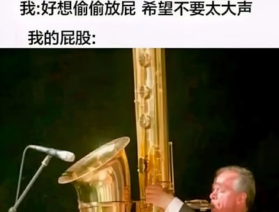 这是一张幽默梗图，上方文字为“我:好想偷偷放屁 希望不要太大声 我的屁股:”，下方配图是一位音乐人正在演奏大型金色铜管乐器（疑似大号或苏萨风）的场景。通过文字与图片的结合，用夸张的方式幽默表现出“本想悄悄放屁，结果声音却意外响亮”的尴尬日常，利用乐器的“大声”特性与放屁的“声音”形成趣味类比。