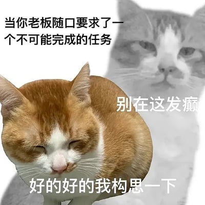 这张梗图以两只猫为主角，配以职场相关的搞笑文字表达。画面中心是一只橘猫背影，一旁是表情冷静的灰白猫，代表面对老板提出无法完成的任务时内心崩溃、思考对策的复杂情绪。整体氛围轻松幽默，很能代表打工人的无奈和职场压力。文案有一些讽刺意味，暗示了很多工作中的苛刻要求与员工的真实反应形成反差，非常适合职场吐槽及社交分享。

图片没有明显的双关或谐音梗，但“狗思一下”利用了网络流行语“狗”字，有自嘲意味。