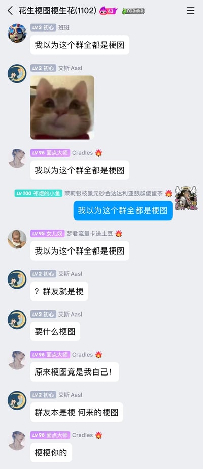 这是一张竖屏手机格式的QQ群聊截图，群名称为“花生梗图梗生花(1102)”，群内成员先是集体复读“我以为这个群全都是梗图”，成员艾斯Aasl还搭配了一张面露疑惑的猫咪表情包，随后艾斯Aasl跳出复读，抛出“群友就是梗”“要什么梗图”的反转发言，瞬间把群聊的玩梗方向从“找梗图”转向“群友本身就是梗”。之后成员Cradles接话“原来梗图竟是我自己！”，进一步呼应这个反转，艾斯Aasl继续延伸玩梗“群友本是梗 何来的梗图”，最后Cradles以一句“梗梗你的”收尾，整个对话充满了群友间的趣味互动，用反转和玩梗打破了“梗图群只有梗图”的固有认知，制造出轻松搞笑的氛围。