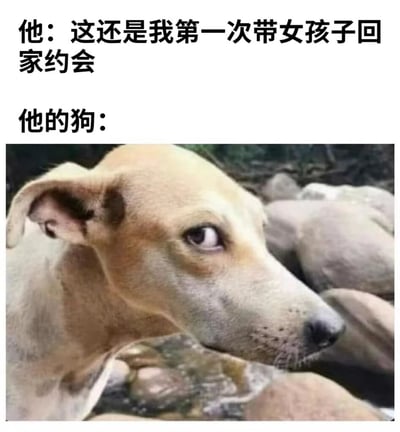 这张梗图通过文字和图片的结合制造幽默效果。上方文字写着"他：这还是我第一次带女孩子回家约会"，下方配图是一只表情怀疑的狗，暗示狗对主人的说法表示怀疑，可能以前已经见过类似情况。
