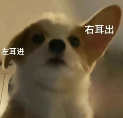 一张柯基犬的近距离特写照片，狗狗耳朵竖起，眼神直视前方，表情看起来有些困惑又专注。图片在柯基的左耳旁标注“左耳进”，右耳旁标注“右耳出”，巧妙化用成语“左耳进右耳出”，幽默地表现出听不进话、左耳进右耳出的状态。