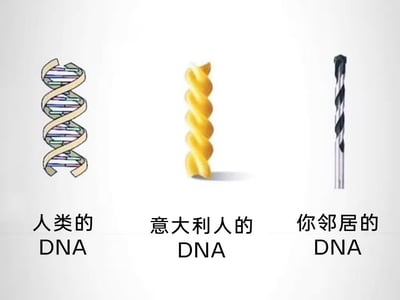 图片通过三列对比的形式，幽默地用不同物品象征不同群体的“DNA”：左侧是标准的DNA双螺旋结构，标注“人类的 DNA”；中间是黄色螺旋意面，标注“意大利人的 DNA”（调侃意大利与 pasta 的紧密关联）；右侧是黑色钻头，标注“你邻居的 DNA”（玩笑式暗示邻居可能经常钻孔制造噪音）。整体采用简洁的图文排版，通过物品外形相似性制造笑点。