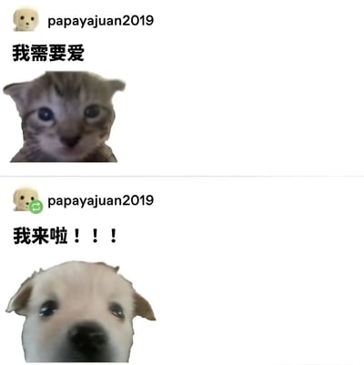 这是一张上下两格的萌宠表情包，上格是一只眼神渴望的小猫，配文“我需要爱”；下格是一只表情热情的小狗，配文“我来啦！！！”，形成可爱的互动效果。