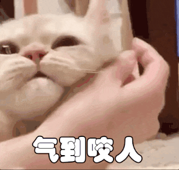 气到咬人的小白猫