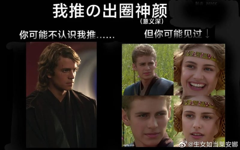 帕德梅·阿米达拉