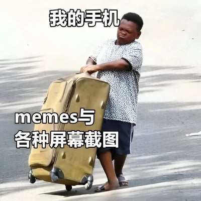 图片中一名男子正费力地拖着一个巨大的棕色行李箱，表情显得十分吃力。图片上方配有文字“我的手机”，行李箱旁边则有文字“memes与各种屏幕截图”，通过夸张的视觉对比，幽默地表达了手机中存储了大量memes和截图，导致手机“负重累累”的场景，引发用户对手机存储空间被占满的共鸣。
