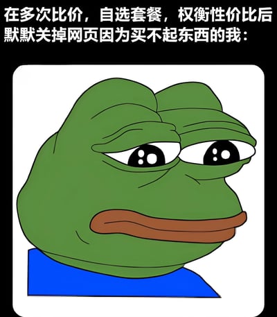 图片上方有文字“在多次比价，自选套餐，权衡性价比后默默关掉网页因为买不起东西的我：”，下方是悲伤蛙（Pepe the Frog）的经典悲伤表情图像。这张梗图通过文字与悲伤蛙表情的结合，幽默地表达了消费者在仔细比较价格和套餐后，仍然发现自己买不起想要的东西时的无奈与失望情绪。