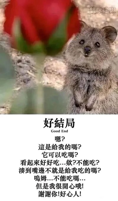 暂无描述
