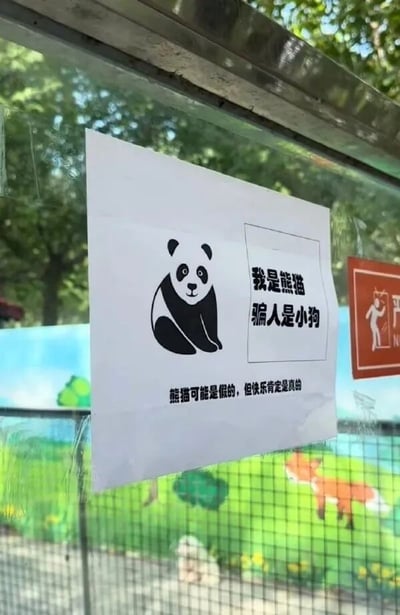 这是一张贴在透明玻璃上的趣味告示图，玻璃后方是带有狐狸、绿植等卡通图案的围栏，看起来像是小型游乐或萌宠观赏区域。告示主体为白色纸张，左侧绘制着一只端坐着的温和友善的卡通熊猫，右侧方框内写着“我是熊猫 骗人是小狗”，纸张下方配文“熊猫可能是假的，但快乐肯定是真的”，玻璃右侧还能看到一个红色的禁止类标识。这则告示用幽默诙谐的方式，提前告知游客此处没有真实的熊猫，同时传递出即使没有真熊猫，在这里依然能获得快乐的轻松氛围，用可爱的话术降低游客预期，避免游客失望，还能制造趣味话题。