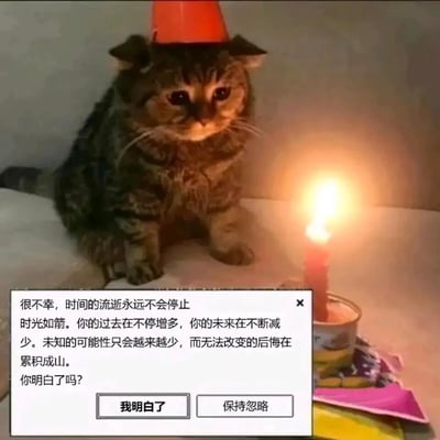 这是一张经过二次创作的网络梗图，画面主体是一只戴着简易红色小帽子的虎斑猫，它端坐在桌前，面前摆放着一根点燃的红色蜡烛，猫咪神情低落惆怅，看起来满是无奈。画面下方添加了一个仿电脑系统弹窗的对话框，弹窗里的文字充满了关于时间流逝的扎心真相：点明时间的流逝永远不会停止，随着时光推移，人们的过去在不停增多、未来在不断减少，未知的可能性越来越少，无法改变的后悔却在累积成山，最后还给出“我明白了”和“保持忽略”两个选项。这张图用温馨的生日场景搭配戳人的时间焦虑文字，形成强烈反差，精准戳中人们面对时间流逝、人生遗憾时的低落与无力感，是很受欢迎的emo类情绪表达梗图。