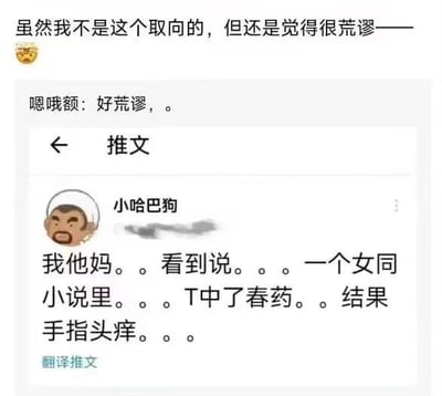 这是一张图文混排的社交媒体聊天记录截图，画面上方是两位网友的评论：一位网友表示自己并非女同取向，但仍觉得某情节很荒谬并附带无奈表情，另一位网友回复附和“好荒谬”；画面下方是名为“小哈巴狗”的用户发布的推文，内容是吐槽某女同小说中的离谱情节——T中了春药后，表现为手指头痒，这种脱离常规逻辑的情节引发了网友的荒谬感，整体内容是网友针对不合理小说情节的网络调侃。