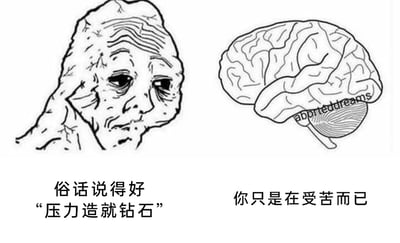 这是一张左右对比的黑白线稿图文混排图，属于反鸡汤类网络meme。左侧呈现的是一个被压力摧残得面容苍老、满脸褶皱、眼神疲惫黯淡的人物形象，下方配文是广为流传的励志鸡汤语“俗话说得好‘压力造就钻石’”；右侧是一幅大脑的线稿示意图，在大脑的小脑位置标注着英文“aborteddreams”（意为被扼杀的梦想），下方配文是“你只是在受苦而已”。整组图片通过强烈的反差，反讽了“压力造就钻石”这类励志鸡汤的不切实际，表达了现实中过度的压力并不会让人成长为更优秀的“钻石”，反而只会让人承受无尽痛苦，甚至磨灭个人梦想的观点，精准戳中了当代人面对职场、生活压力时的疲惫与无奈，是一种情绪宣泄类的网络创作。