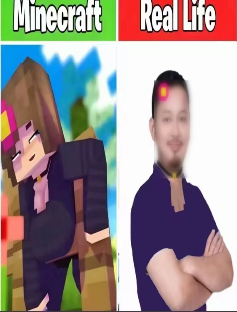 我的世界（Minecraft）同人创作