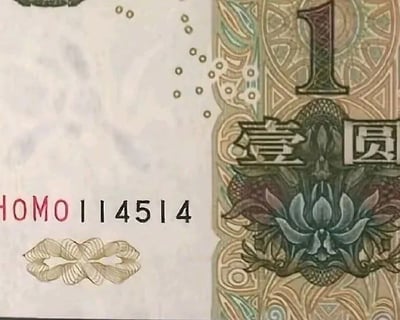 这是一张被修改过的中国一元人民币纸币图片，在纸币的白色区域被添加了红色的"HOMO114514"文字。图片右侧清晰显示了"壹圆"字样和数字"1"，以及传统的花卉图案和装饰性纹路。这是对人民币的恶搞修改，其中"HOMO114514"是网络迷因用语，源自日本喜剧演员田所浩二（野兽先辈）的相关梗。
