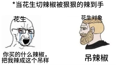 这是一张改编自经典对立梗图模板的搞笑图文作品，顶部文字明确场景为“当花生切辣椒被狠狠的辣到手”。画面左侧是标注为“花生”的Wojak（失意者）卡通形象，他眉头紧皱、双眼含泪，大张着嘴，满脸愤怒又痛苦，对着右侧的“花生对象”抱怨：“你买的什么辣椒，把我辣成这个吊样”；右侧是标注为“花生对象”的Chad（完美男性）卡通形象，他表情平淡、面无波澜，回应道“吊辣椒”。图中利用“吊”字的双关谐音，将抱怨里的脏话语气词转化为辣椒名称，制造出荒诞又贴合日常的搞笑效果，还原了被辣椒辣到手的窘迫场景，用玩梗的方式放大了生活里的小趣事。