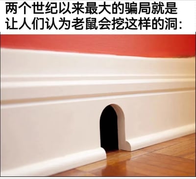 图片上方有一段文字：“两个世纪以来最大的骗局就是让人们认为老鼠会挖这样的洞：”。配图是一堵墙下装饰板上有个经典的卡通形状的小门洞，看起来像动画片中的老鼠洞。

这张梗图嘲讽了现实中老鼠洞其实并不是我们在卡通片里常见的这种整齐拱形，而是一种流行文化误导、刻板印象的幽默表达。带有“童年骗局”、“卡通与现实”等双关和自嘲意味。