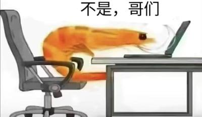 这是一张搞笑的职场吐槽梗图，画面里一只拟人化的大虾坐在办公椅上，身体前倾凑到电脑屏幕前，头部带有动态模糊效果，仿佛正因为看到的内容而震惊疑惑。图上方配文“不是，哥们”，精准传达出打工人在工作中遇到离谱要求、奇怪消息时的崩溃、不敢置信的情绪，用拟人化的大虾形象代入打工人的职场日常，容易引发职场群体的共鸣。