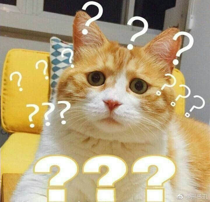 一脸问号的橘白猫表情包