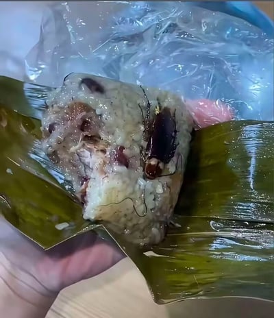这是一张实拍的静态照片，画面中可以看到一只手托着被剥开部分粽叶的肉粽，粽子的糯米中夹杂着红豆、肉块等馅料，同时有一只完整的蟑螂嵌在糯米里，蟑螂的肢体、触须清晰可见，背景还能看到半透明的塑料包装袋，整体内容暴露了严重的食品卫生问题，视觉效果令人不适。