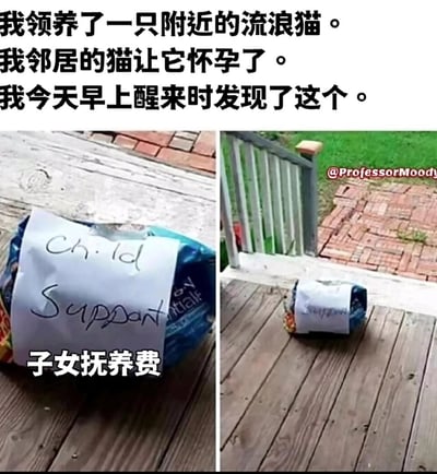 这是一个搞笑的宠物主题梗图，讲述了用户领养的流浪猫被邻居家的猫致孕后，某天早上在自家门口发现了一袋猫粮，猫粮袋上贴着写有英文“Child Support（子女抚养费）”的纸条。邻居用拟人化的方式，将人类社会中“子女抚养费”的概念套用在猫的身上，用猫粮作为“抚养费”，配合上方的中文配文“我领养了一只附近的流浪猫。我邻居的猫让它怀孕了。我今天早上醒来时发现了这个。”以及中文注释“子女抚养费”，制造出荒诞又有趣的效果。图片采用左右对比的形式，左侧是猫粮袋的近景，右侧是猫粮袋放在门口的远景。