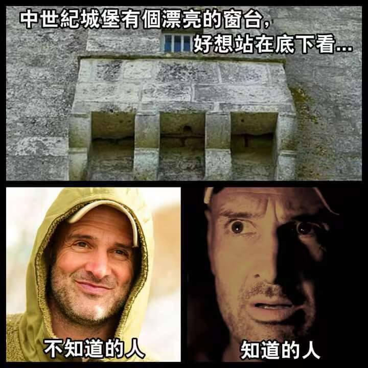 荒野求生