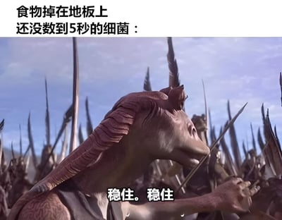 这张梗图用幽默的方式诠释了"5秒规则"的概念。图片上方文字写着"食物掉在地板上 还没数到5秒的细菌："，下方是电影《纳尼亚传奇》中半人马战士们手持长矛、严阵以待的场景截图，角色口中说着"稳住。稳住"，将细菌拟人化为等待冲锋命令的军队，形象地表现了它们在5秒倒计时结束前蓄势待发的状态。