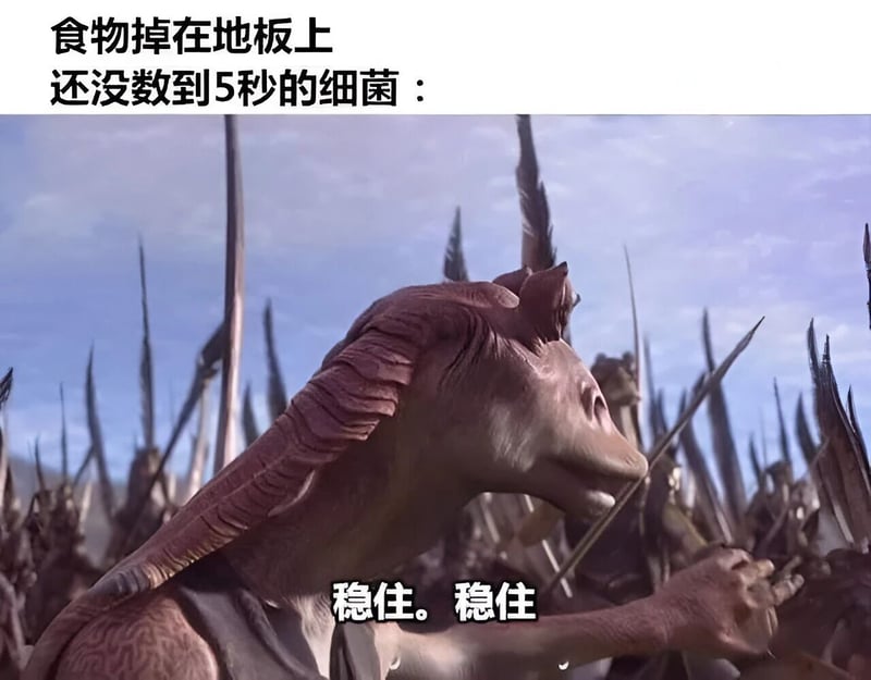 纳尼亚传奇