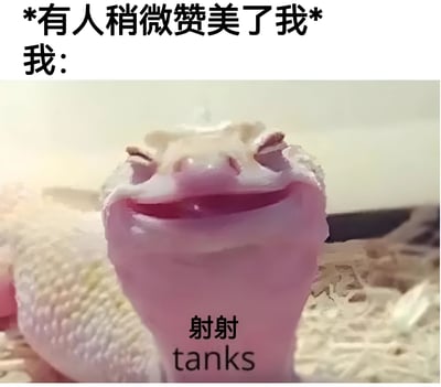 图片上方有文字'*有人稍微赞美了我* 我:'，下方是一只张着嘴巴露出粉色舌头的守宫（壁虎）特写，守宫表情看起来十分开心满足。在守宫的嘴巴下方有文字'射射 tanks'，其中'射射'是'谢谢'的谐音梗，配合英文'tanks'（坦克）形成幽默效果，整体表达了被人赞美后开心又有点不好意思的感谢反应。